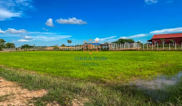Land for Sale in Siem Reap-Kandaek
