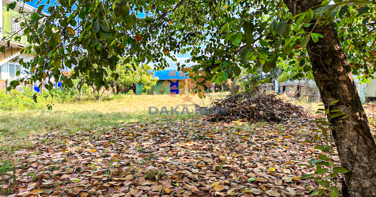 Land for Sale in Krong Siem Reap-Svay Dangkum