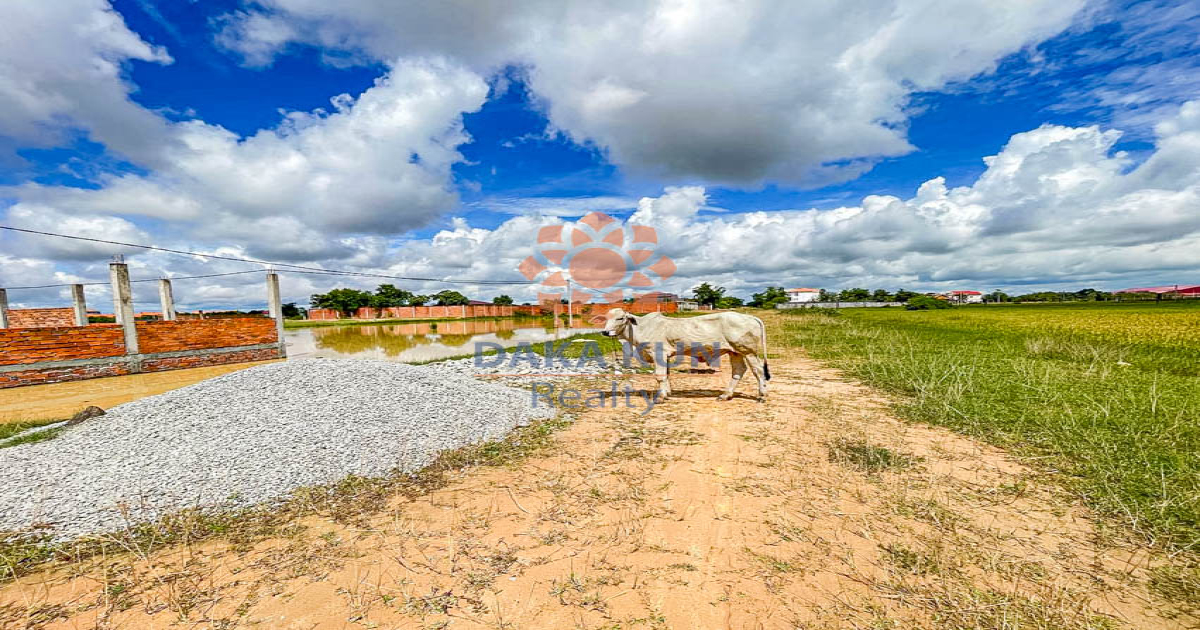 Land for Sale in Siem Reap City, Sangkat Srangae