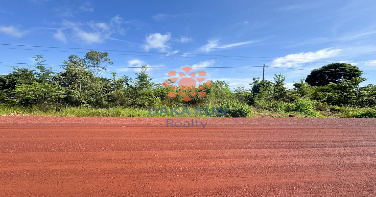 Land for sale in Siem Reap near Snatecho 317 high school