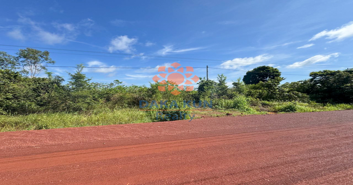Land for sale in Siem Reap near Snatecho 317 high school