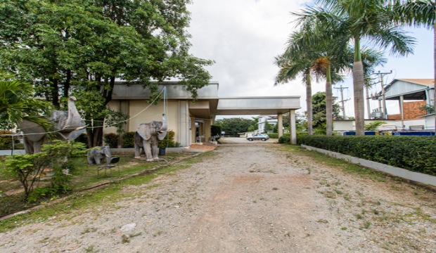 Commercial Building for Rent in Krong Siem Reap-Svay Dangkum