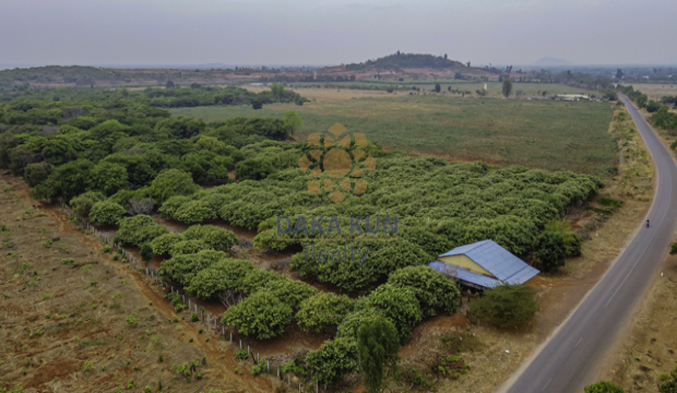 Land for Sale in Siem Reap-Banteay Srey