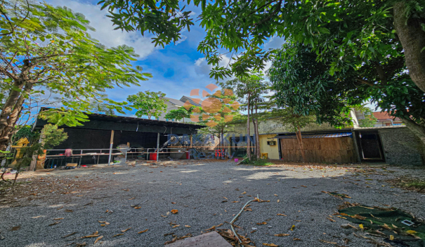 Urgent Land For Sale in Siem Reap City-Near Chocolate Rd