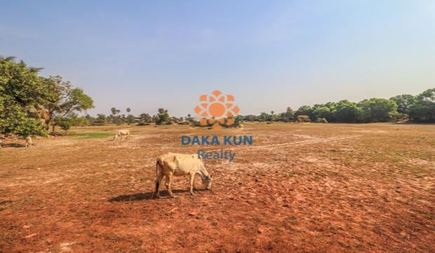 Land for Sale in Siem Reap