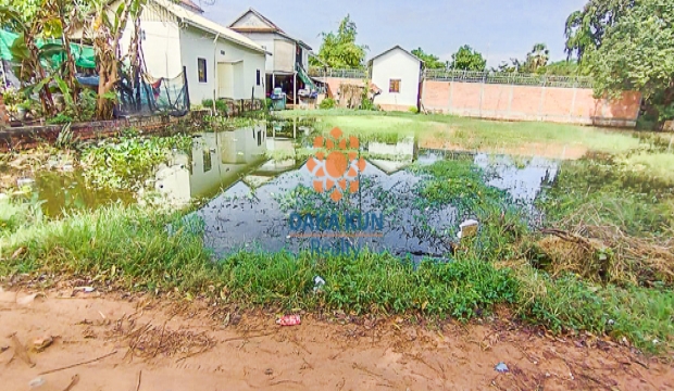 Urgent Sale Land near Svay Dangkum-Siem Reap