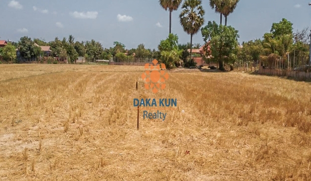 Urgent Sale Land in Sangkat Siem Reap, Siem Reap city