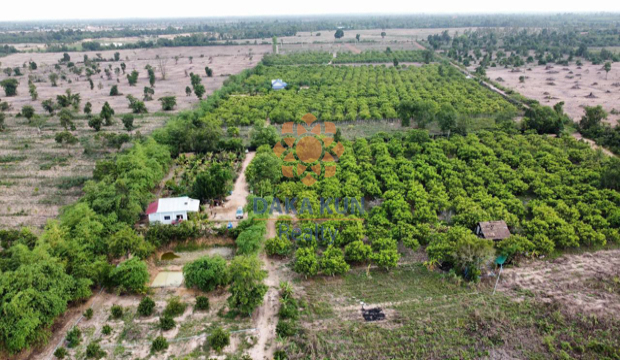 Land for Sale in Krong Siem Reap-Angkor Thom