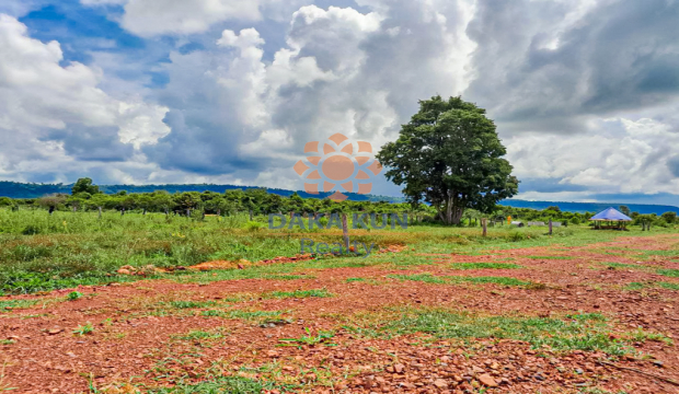 Land for Sale in Siem Reap-Banteay Srei