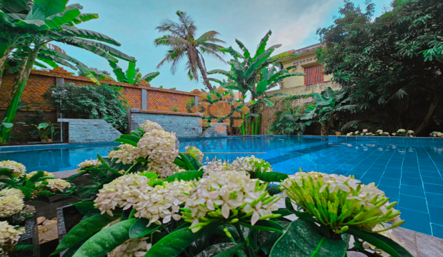 Hotel For Rent in Siem Reap City-Taphul Road